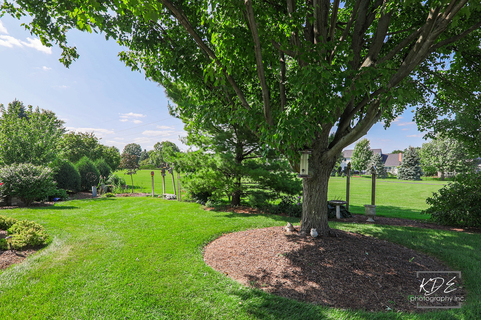 1403 Carlyle Road Naperville, IL 60564 - Photo 30 of 31 a view of a park with large trees