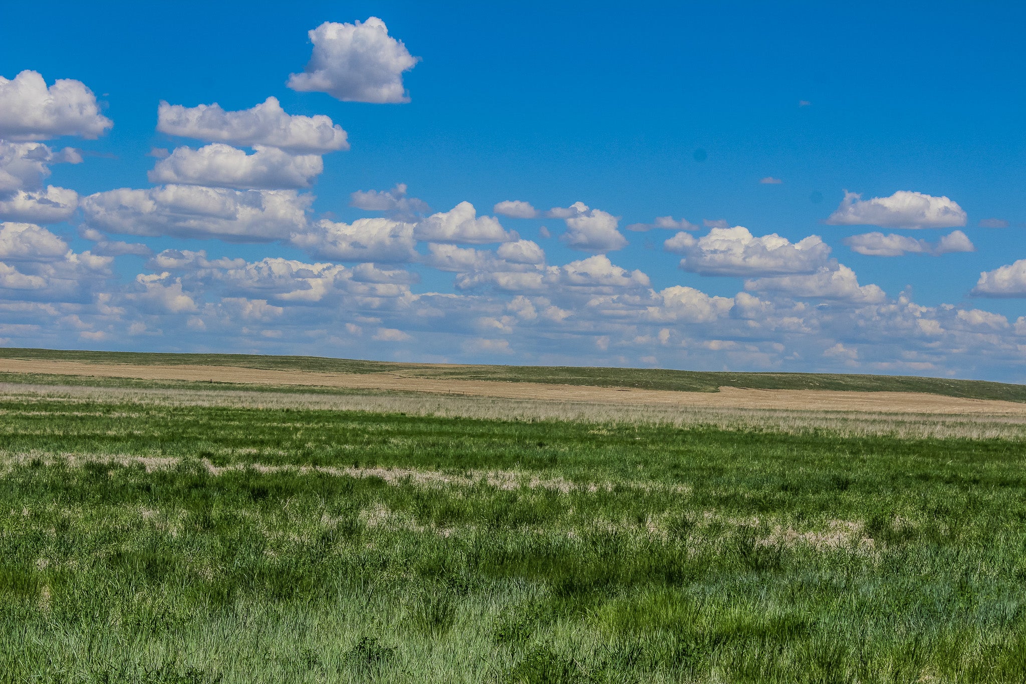8 A Old Ulm Cascade Road Cascade, MT 59421 - Photo 4 of 9 Gallery Image 4