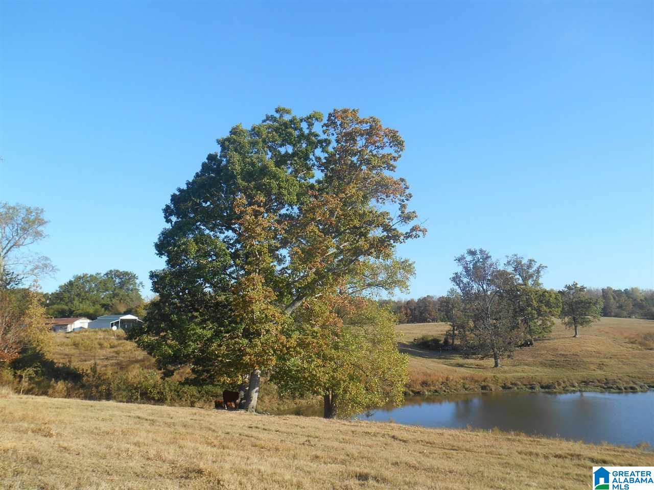 1099 Dailey Road, Unit 1 Altoona, AL 35952 - Photo 2 of 17