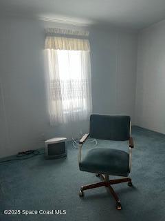5361 Bison Street, Unit P19 Micco, FL 32976 - Photo 23 of 27 a room with furniture and windows