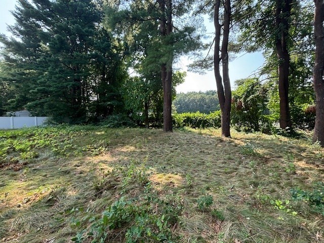 44 Dean Road Wayland, MA 01778 - Photo 4 of 16