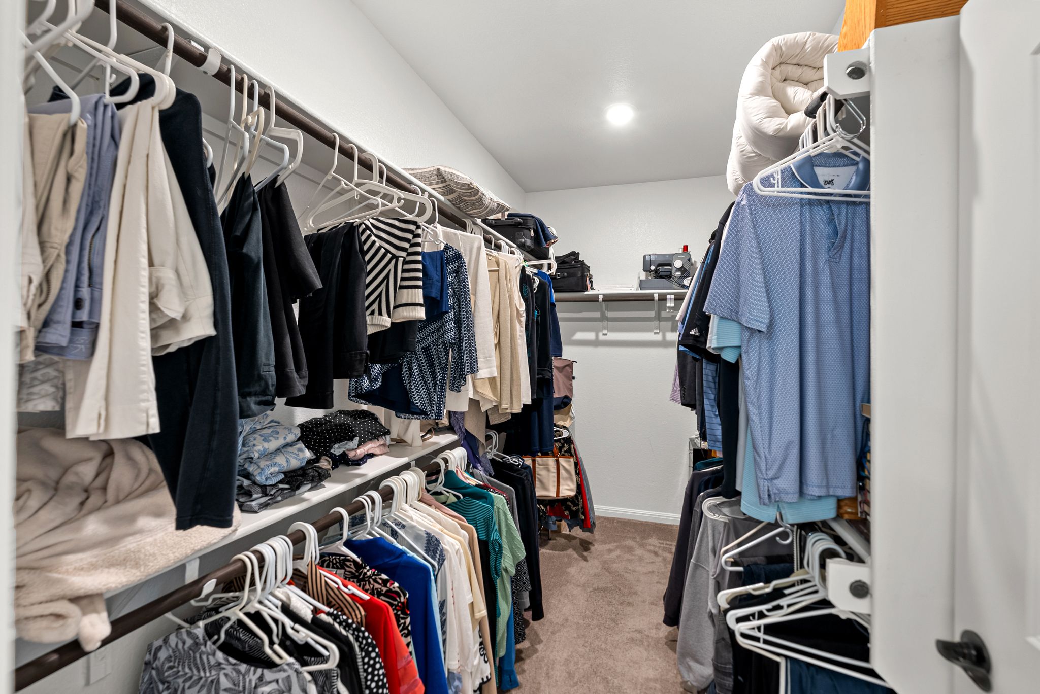 642 Martingale Street Georgetown, TX 78633 - Photo 23 of 40 Never run out of space again! This expansive primary closet features dual-sided hanging rods and built-in shelving.