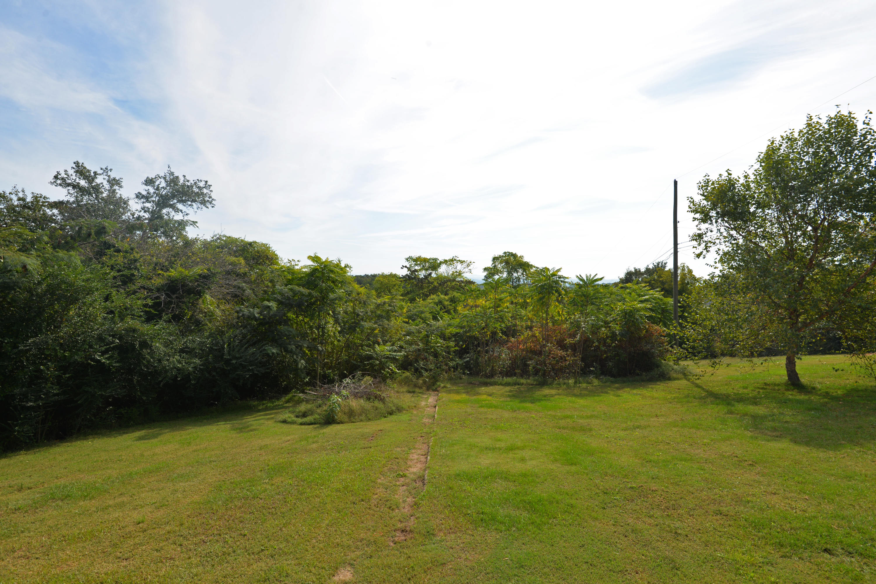 140 North Crest Road Chattanooga, TN 37404 - Photo 58 of 62 Lower back yard