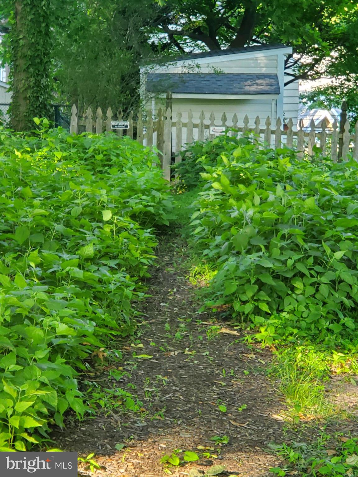 264 Conestoga Road Wayne, PA 19087 - Photo 28 of 28 ACCESS TO BACKYARD FROM WAYNE ART CENTER