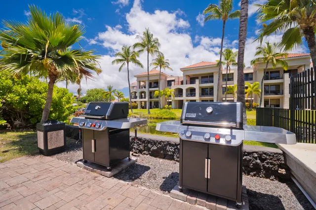 a view of a tennis ground with large trees