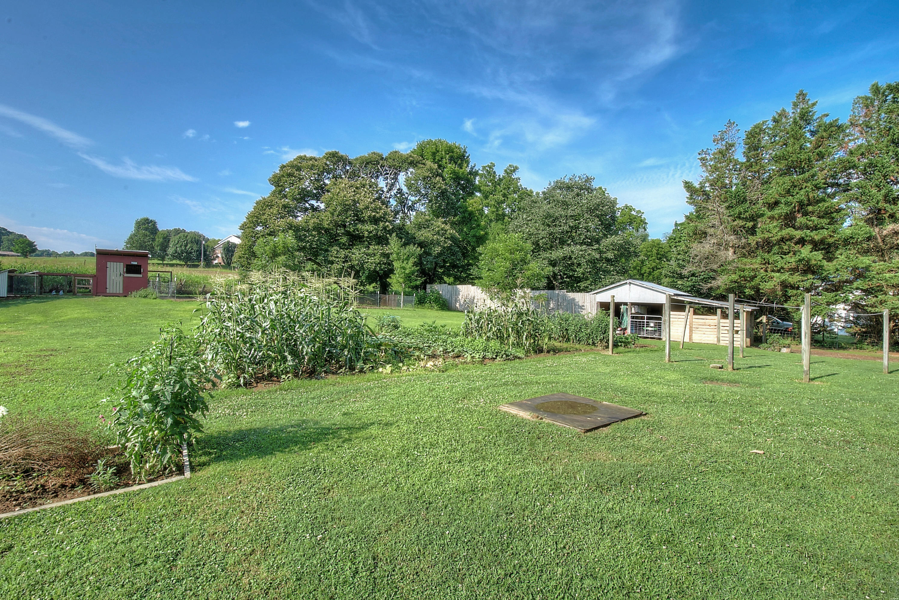 367 Toll Branch Road Johnson City, TN 37601 - Photo 41 of 55 DSC_0165_6_7