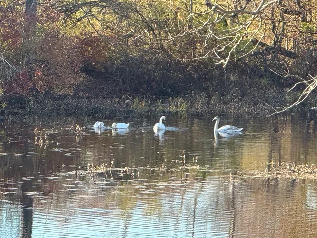 $2,950,000 | 52 Willow Street, Dover, MA 02030