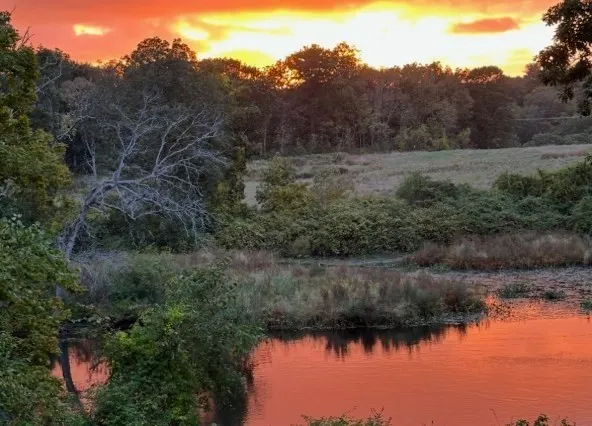 $2,950,000 | 52 Willow Street, Dover, MA 02030