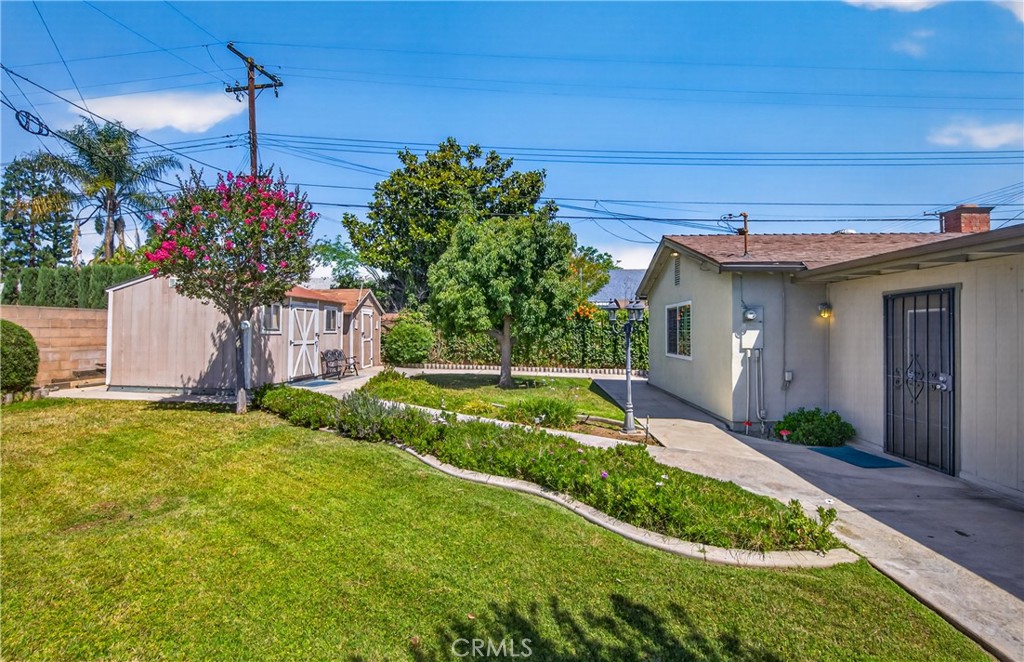 5146 Golden Avenue Riverside, CA 92505 - Photo 24 of 28 Back yard