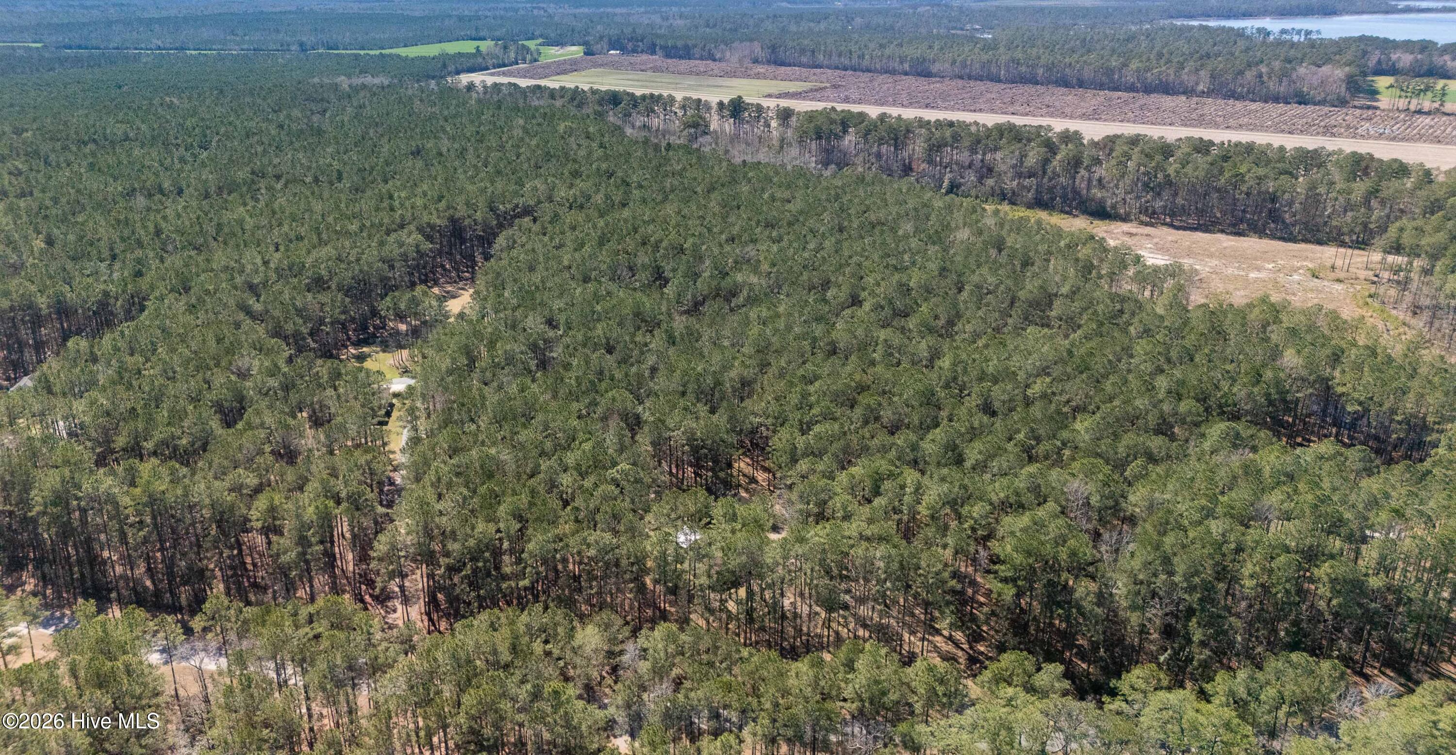 427 Bay Shores Road Merritt, NC 28556 - Photo 36 of 39 036_Aerial