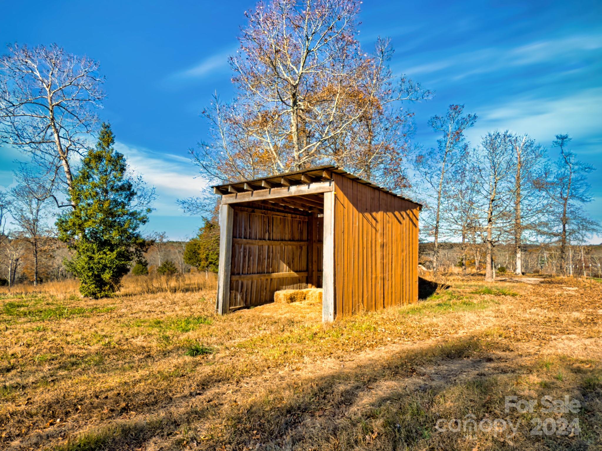 426 Jonas Road Rutherfordton, NC 28139 - Photo 22 of 31