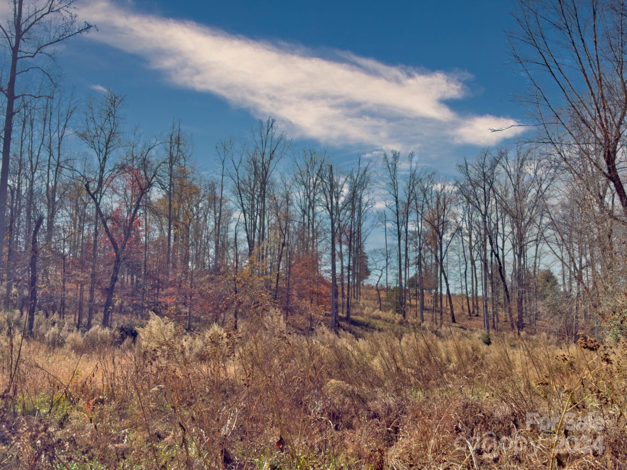 426 Jonas Road Rutherfordton, NC 28139 - Photo 27 of 31