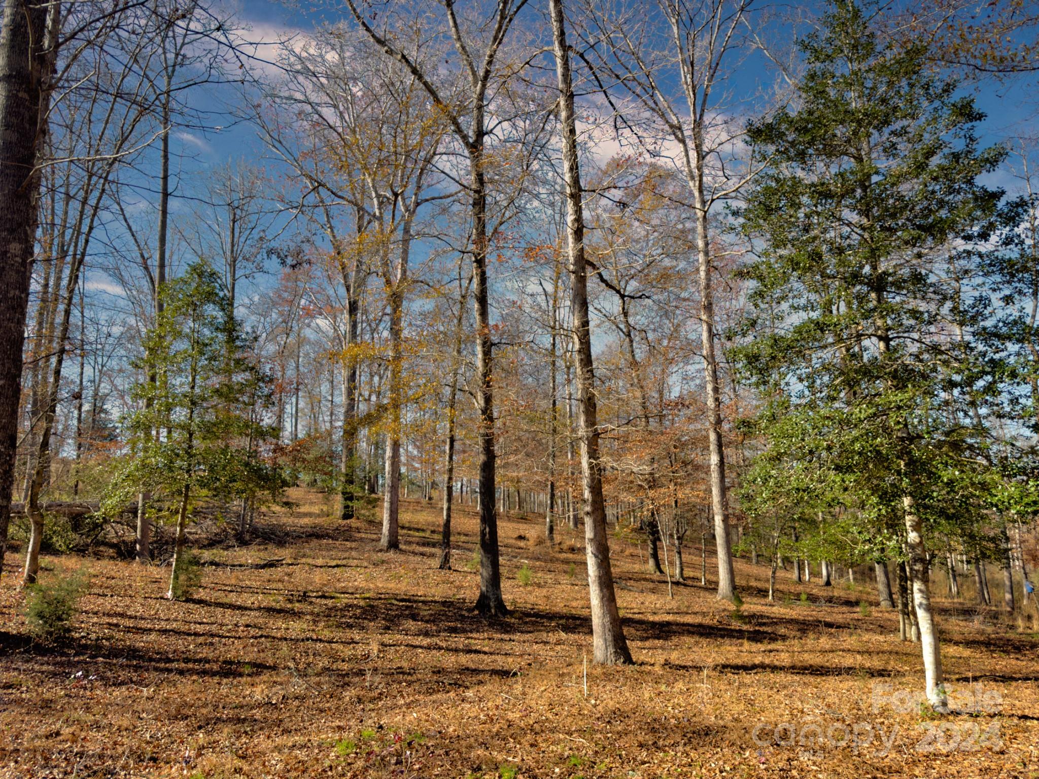 426 Jonas Road Rutherfordton, NC 28139 - Photo 28 of 31