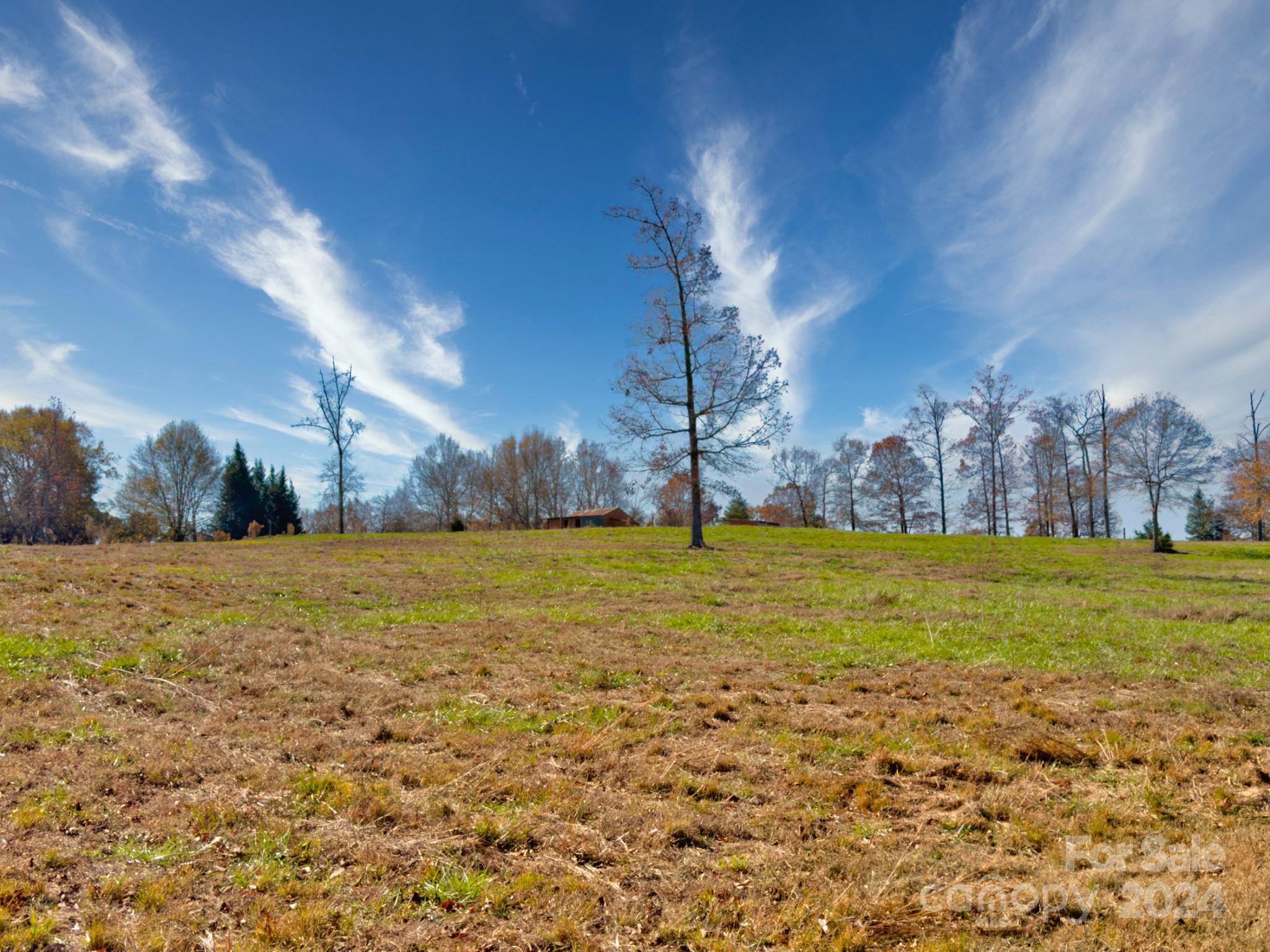 426 Jonas Road Rutherfordton, NC 28139 - Photo 29 of 31