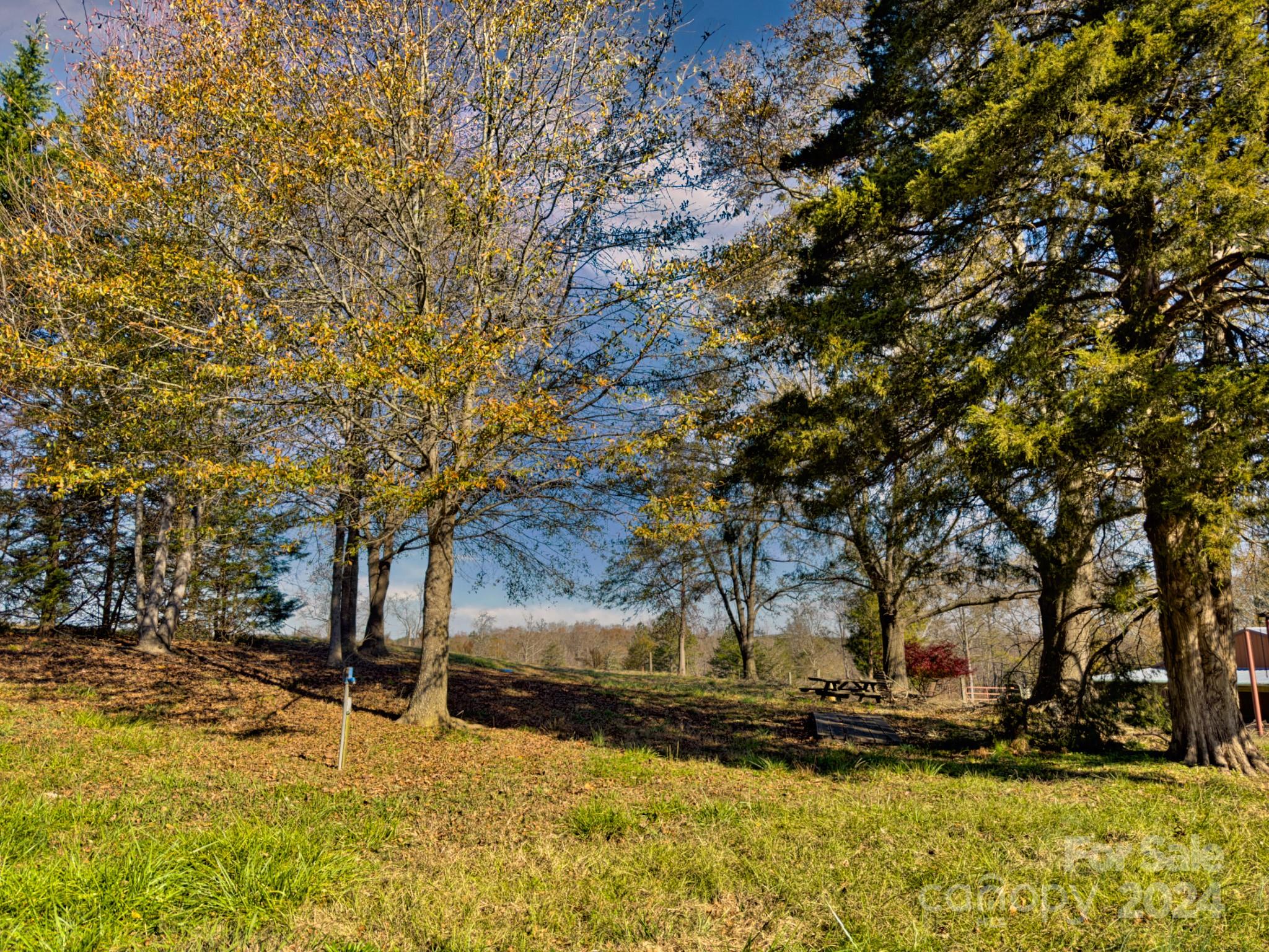 426 Jonas Road Rutherfordton, NC 28139 - Photo 10 of 31