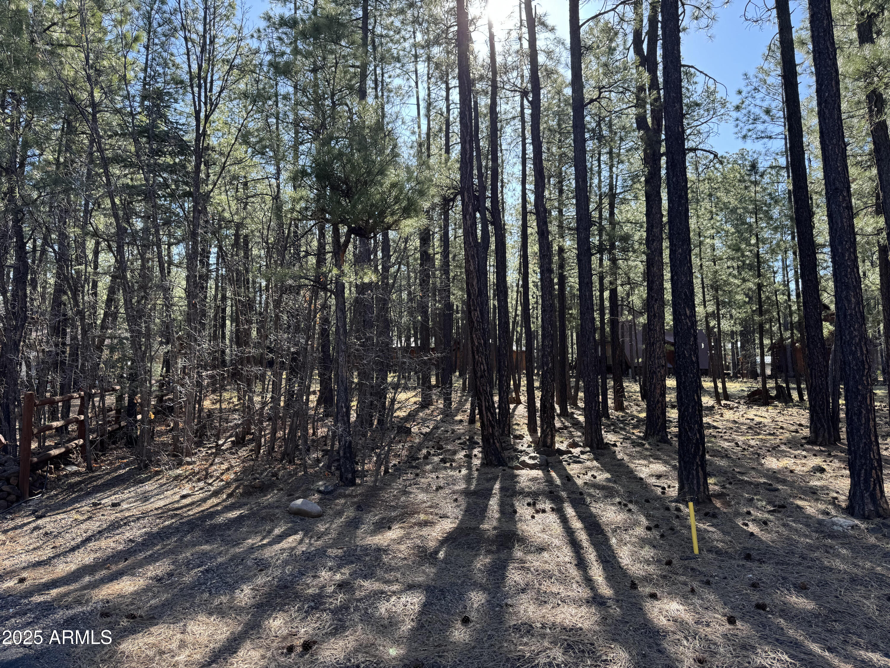 7543 Sunset Circle, Unit 81 Pinetop, AZ 85935 - Photo 2 of 5 a view of outdoor space with lots of trees