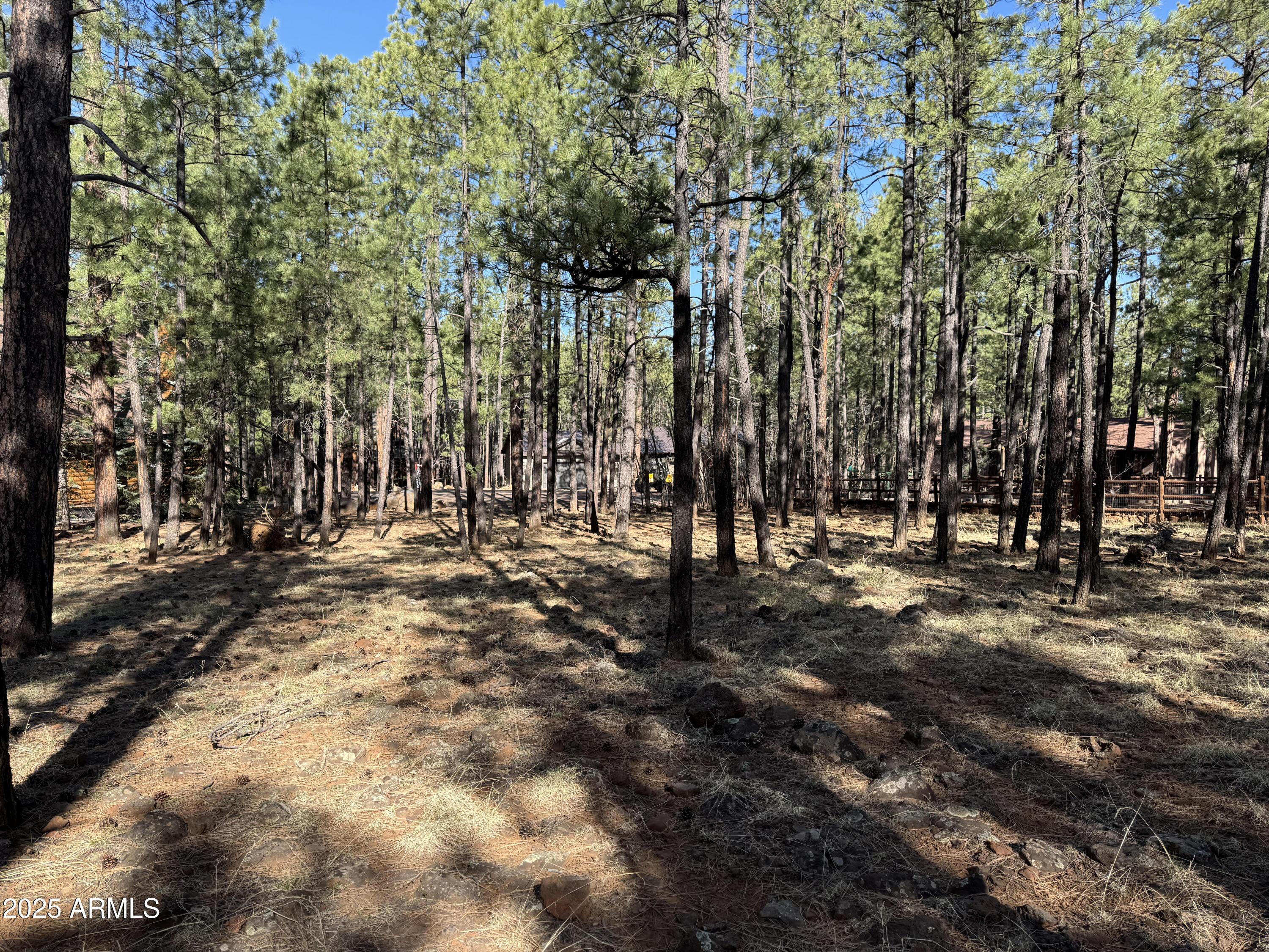 7543 Sunset Circle, Unit 81 Pinetop, AZ 85935 - Photo 4 of 5 a view of outdoor space with trees