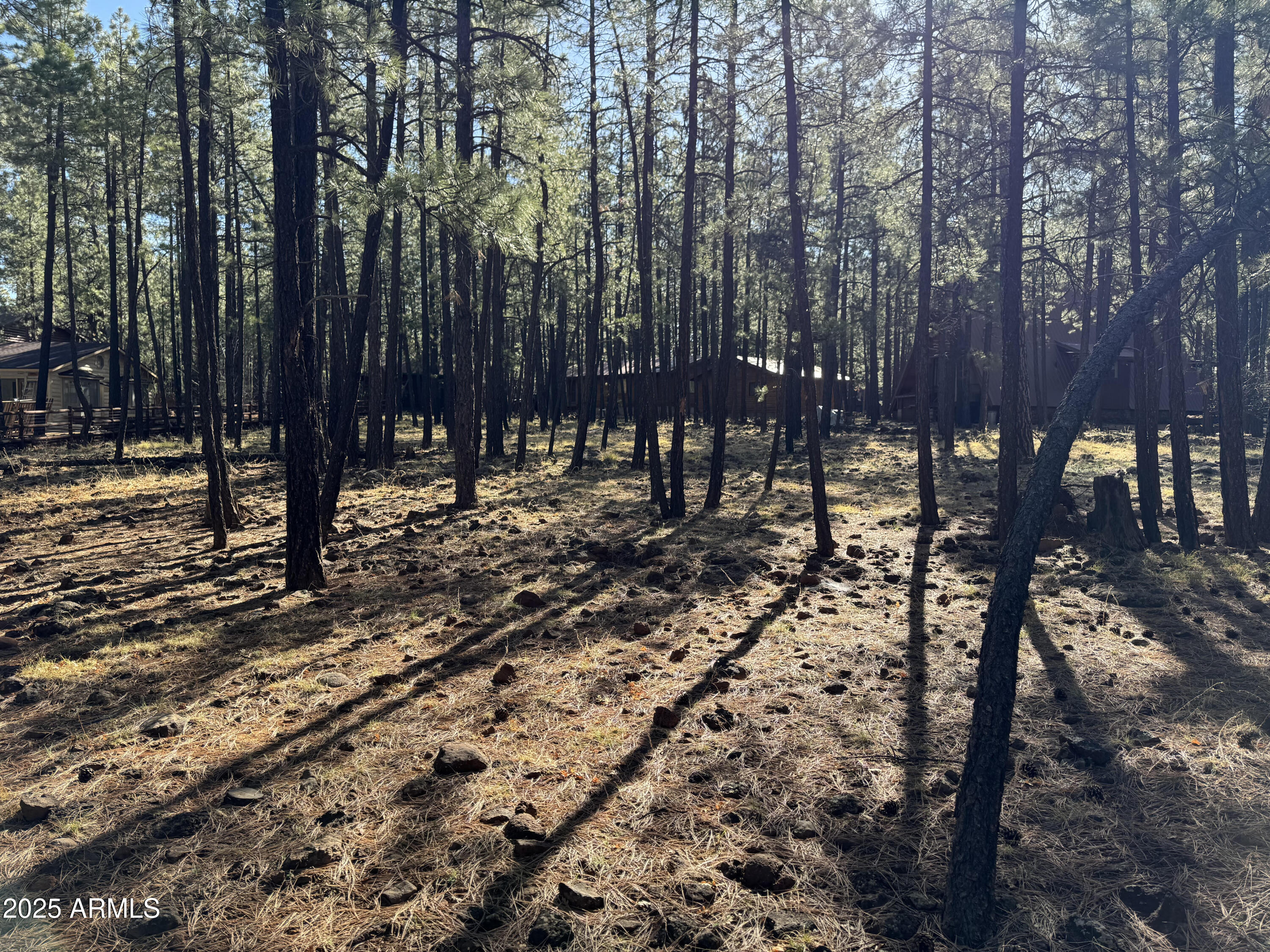 7543 Sunset Circle, Unit 81 Pinetop, AZ 85935 - Photo 5 of 5 a view of a backyard of the house