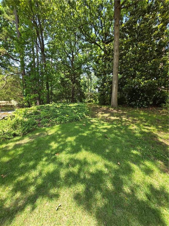 4201 Church Street Clarkston, GA 30021 - Photo 3 of 3 a view of a field with a tree