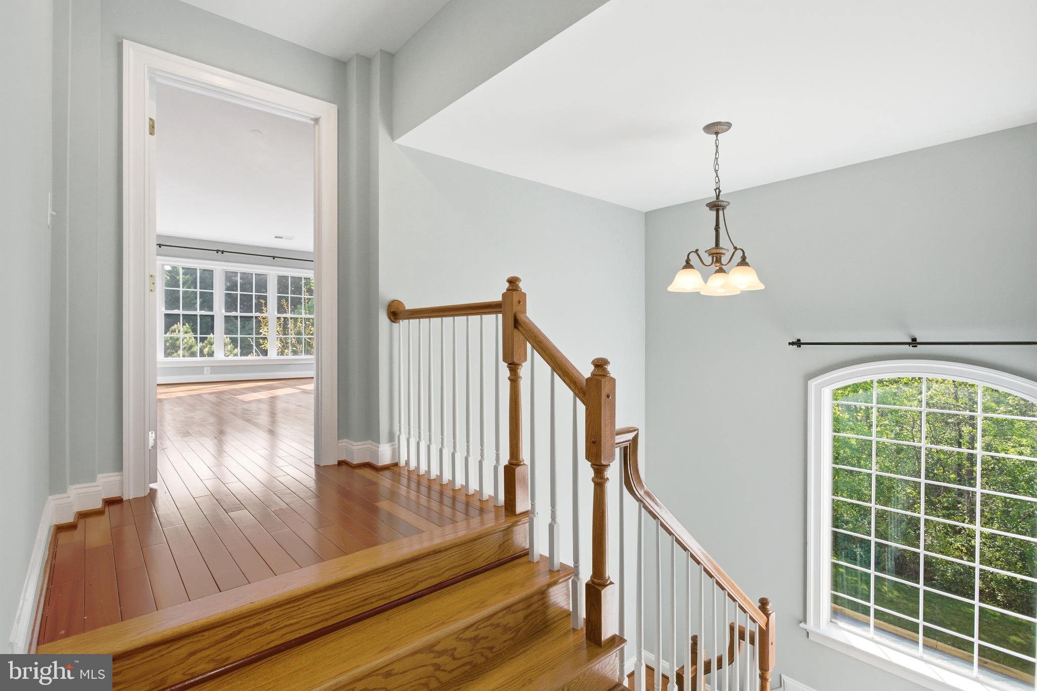 6411 Velliety Lane Springfield, VA 22152 - Photo 19 of 41