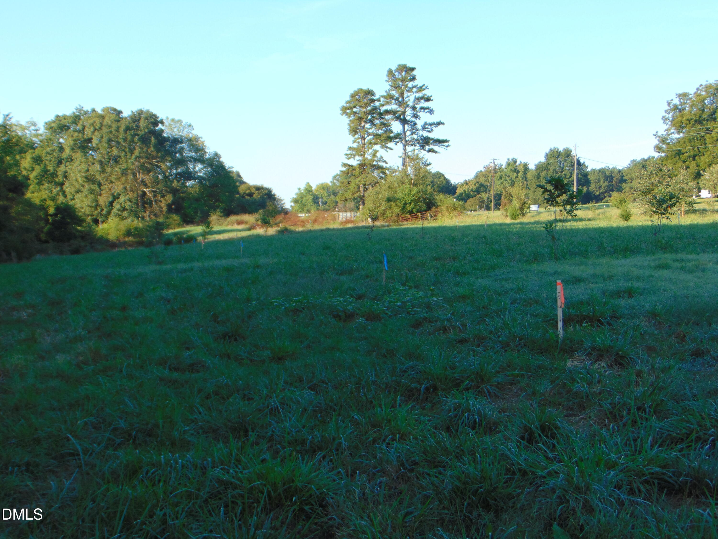 0 County Home Road Blanch, NC 27212 - Photo 12 of 14 DSC01670