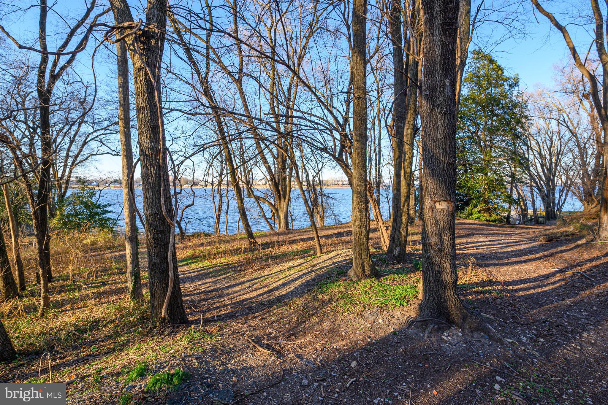185 Park Road Pasadena, MD 21122 - Photo 8 of 38 Gallery Image 8