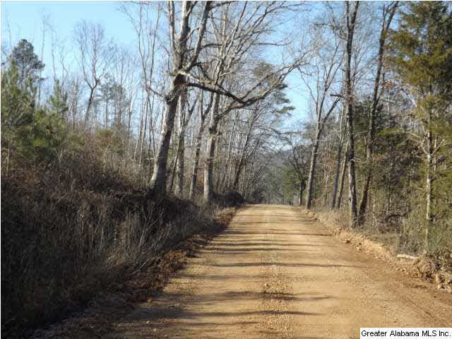 286 County Road, Unit 85 Collinsville, AL 35961 - Photo 19 of 23