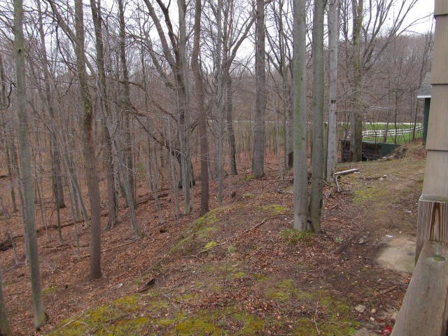 4701 Schoedel Road Manistee, MI 49660 - Photo 33 of 34 1817086-32.JPG