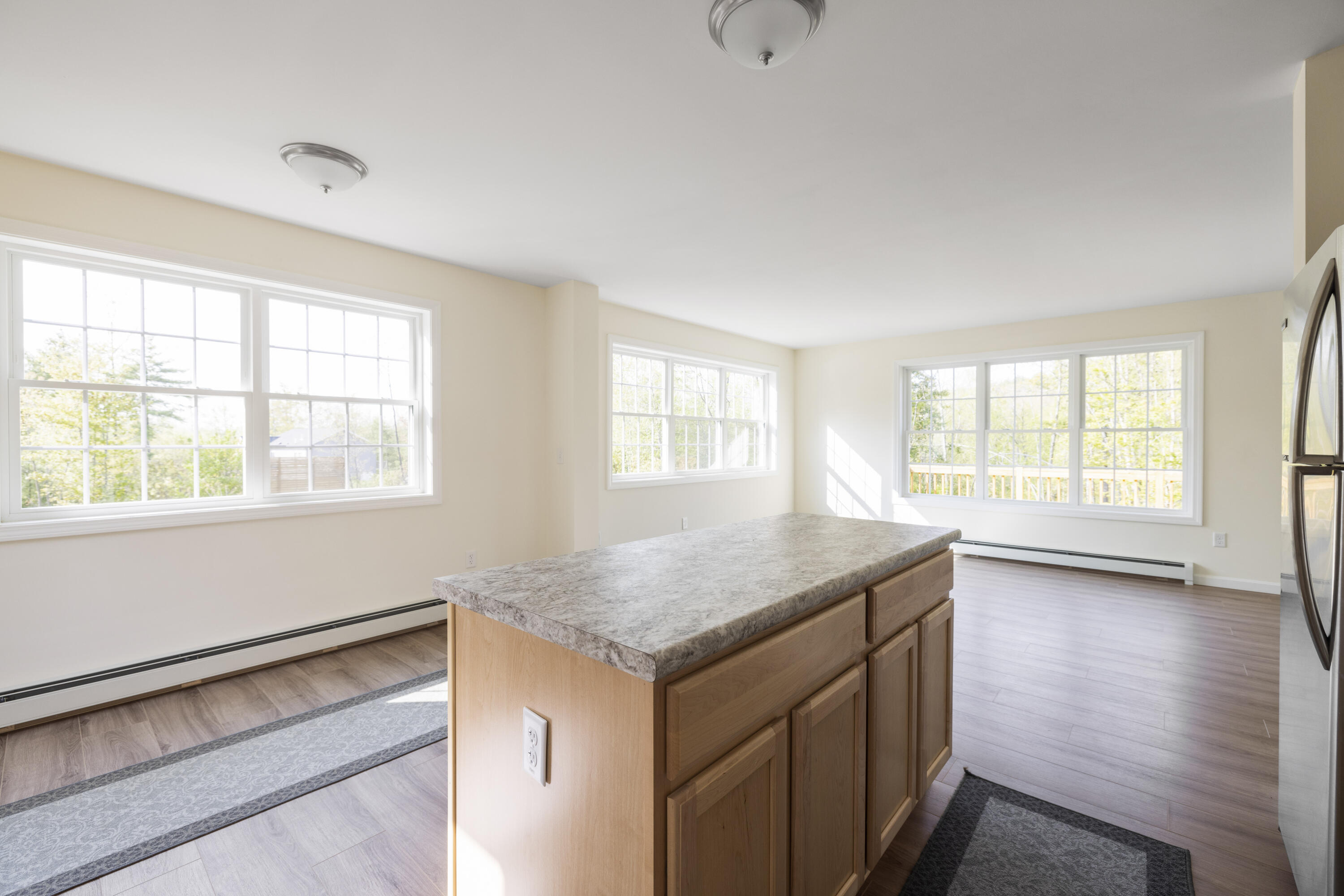 976 North Road Parsonsfield, ME 04047 - Photo 17 of 33 3G0A0065