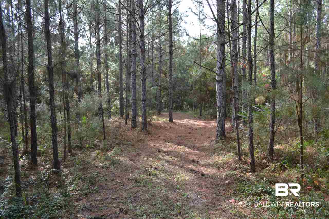 20751 Keller Road Foley, AL 36535 - Photo 43 of 44