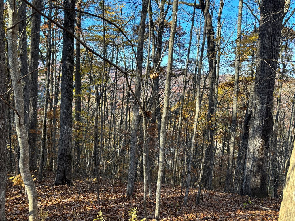 Lot#39 Falcon Stone Ridge Topton, NC 28781 - Photo 3 of 10