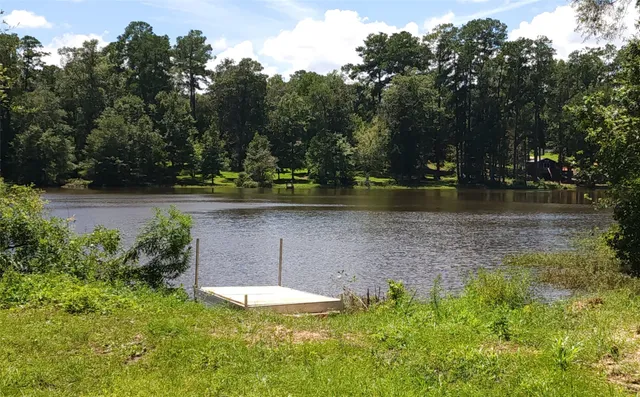 a view of a lake with trees in the background