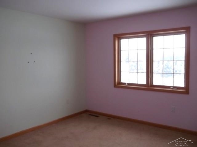 2144 North Graham Road Freeland, MI 48623 - Photo 22 of 36 31228470-21.JPG