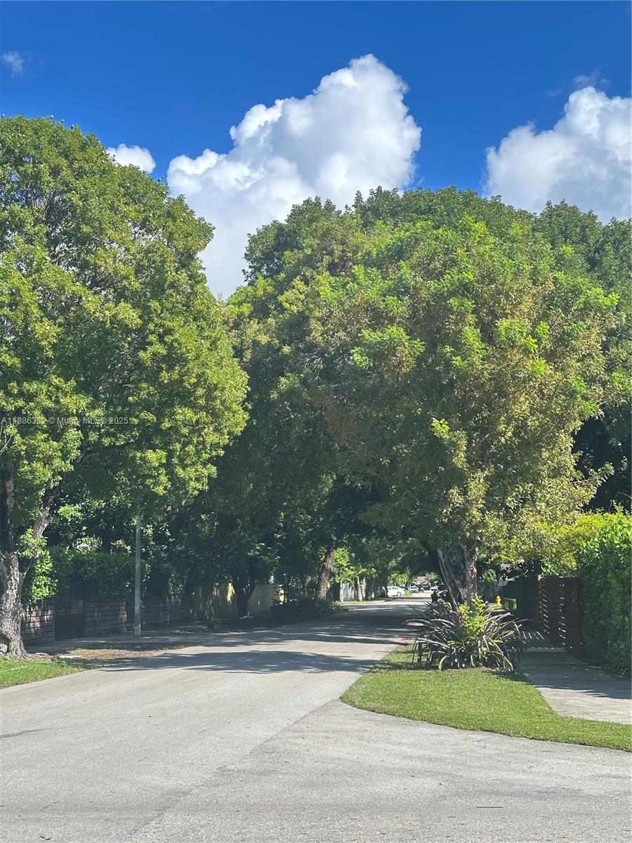 Street view with mature trees