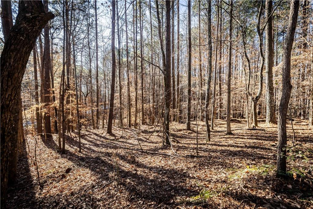1001 Overlook Terrace Ball Ground, GA 30107 - Photo 11 of 20