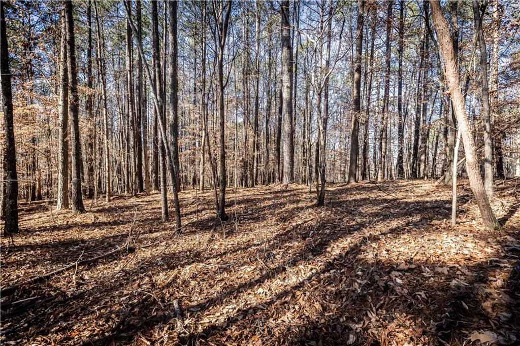 1001 Overlook Terrace Ball Ground, GA 30107 - Photo 12 of 20