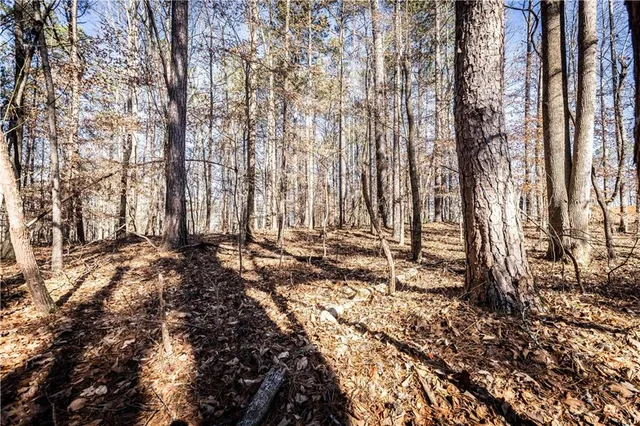 a view of outdoor space with trees