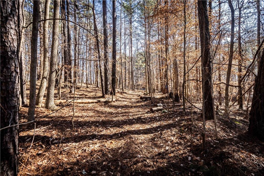 1001 Overlook Terrace Ball Ground, GA 30107 - Photo 14 of 20
