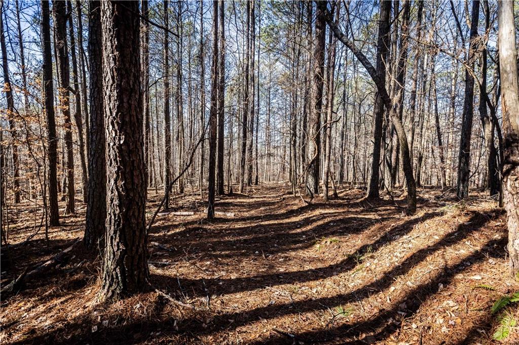 1001 Overlook Terrace Ball Ground, GA 30107 - Photo 15 of 20