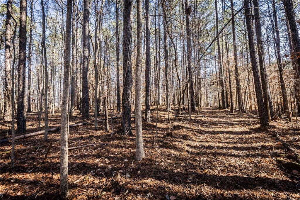 1001 Overlook Terrace Ball Ground, GA 30107 - Photo 16 of 20