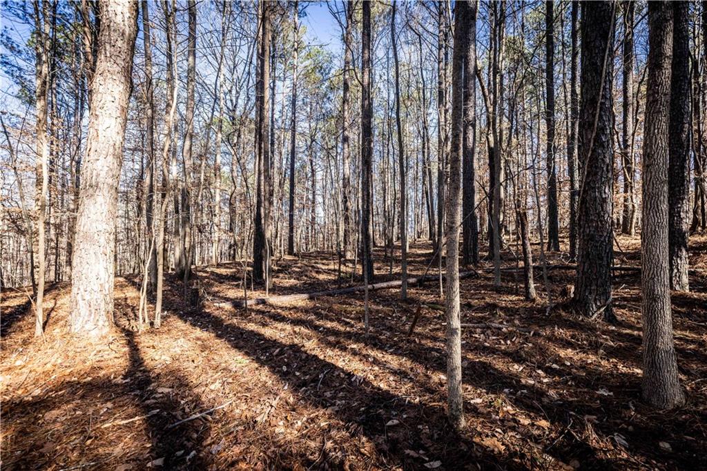1001 Overlook Terrace Ball Ground, GA 30107 - Photo 17 of 20