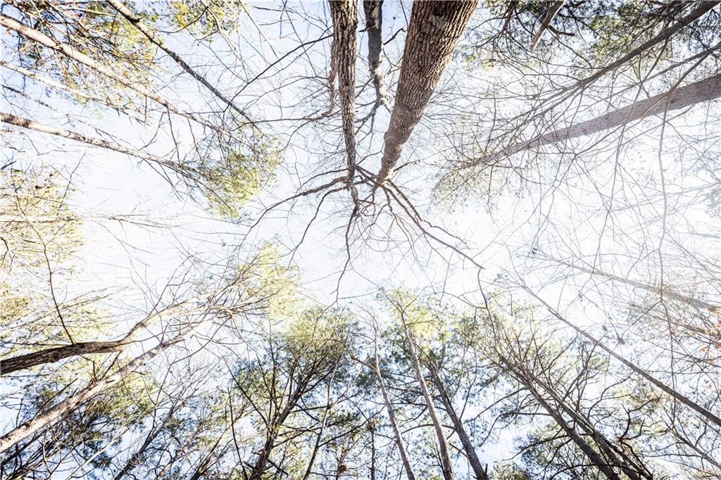 1001 Overlook Terrace Ball Ground, GA 30107 - Photo 20 of 20