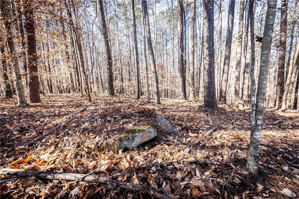 1001 Overlook Terrace Ball Ground, GA 30107 - Photo 6 of 20