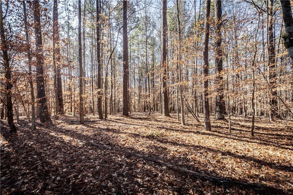 1001 Overlook Terrace Ball Ground, GA 30107 - Photo 7 of 20