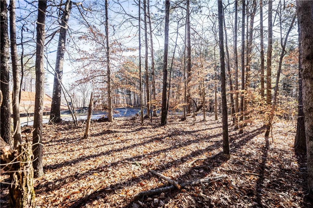 1001 Overlook Terrace Ball Ground, GA 30107 - Photo 8 of 20