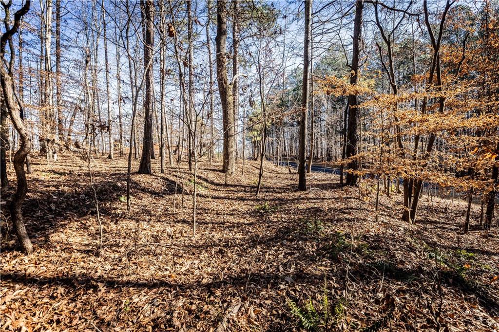 1001 Overlook Terrace Ball Ground, GA 30107 - Photo 9 of 20