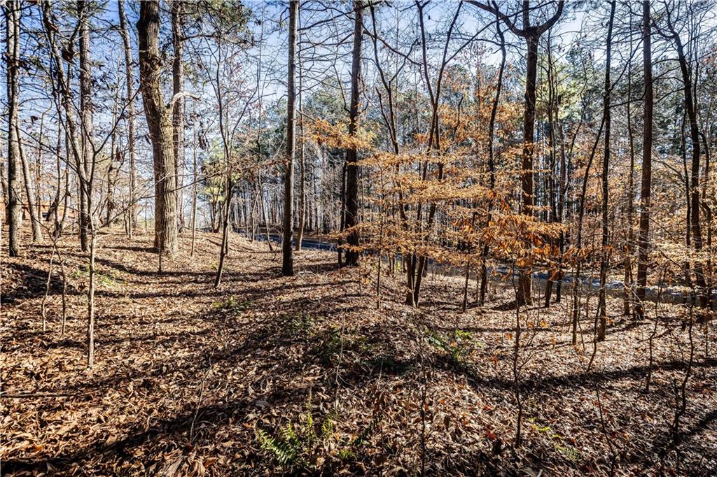 1001 Overlook Terrace Ball Ground, GA 30107 - Photo 10 of 20