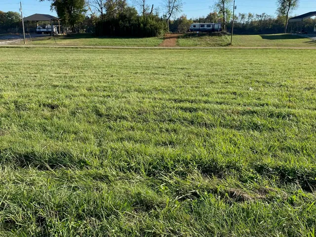 a view of a green field