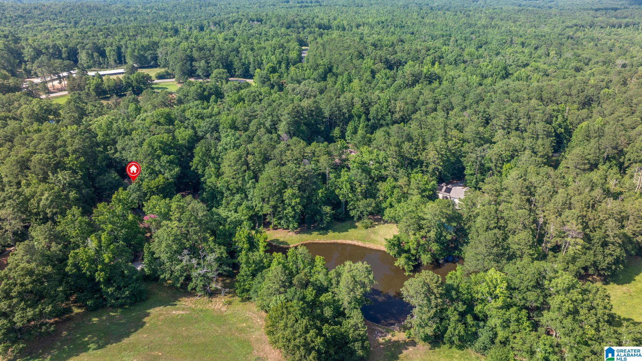 8484 Chelsea Road Columbiana, AL 35051 - Photo 76 of 77