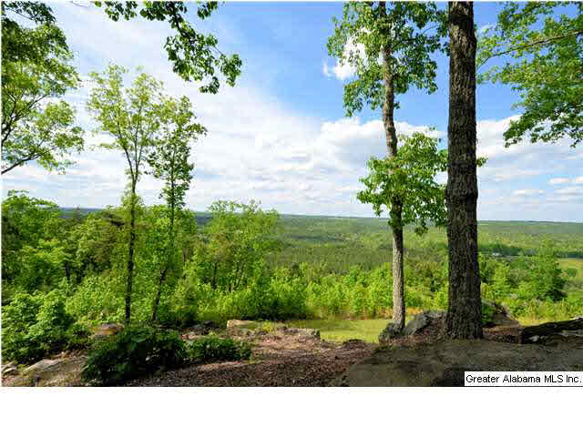 5978 South Shades Crest Road Bessemer, AL 35022 - Photo 1 of 32